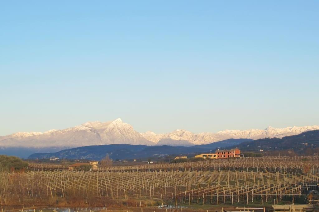 Country Apartment, Near Bardolino And Lazise Calmasino Екстер'єр фото